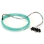 FOPT50M3-SC-6AQ-3: 6 fibers, SC